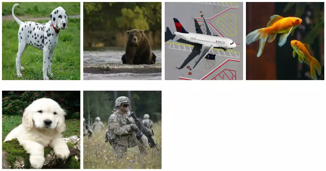 Input images for our model. Common instances of classes present in the imagenet dataset (dogs, bears, airplanes).