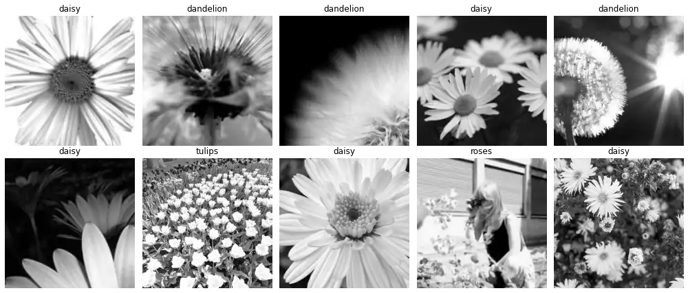 Samples in the TF-Flowers dataset converted to gray-scale.