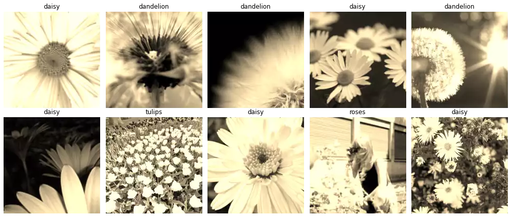 The samples in the TF-Flowers dataset, after the Sepia filter is applied.