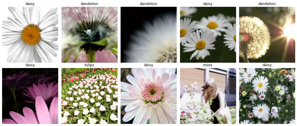 A few samples in the TF-Flowers dataset.
